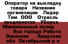 Оператор на выкладку товара › Название организации ­ Лидер Тим, ООО › Отрасль предприятия ­ Уборка › Минимальный оклад ­ 28 000 - Все города Работа » Вакансии   . Амурская обл.,Октябрьский р-н